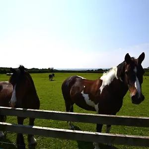 Holiday home The Bothy, Carlton (North Yorkshire)
